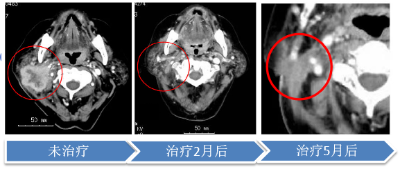 微信图片_20240722144620.png 微信图片_20240722144620.png